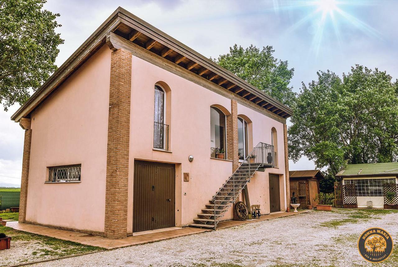 سافيو دي رافينا B&B Rudela Nonna Maria المظهر الخارجي الصورة
